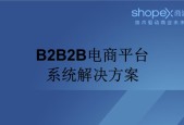 打造成功的B2C电子商务网站（以B2C电子商务网站建设方案为主题的关键步骤及成功策略）