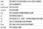 掌握Linux常用命令，轻松驾驭终端世界（Linux命令大全及用法详解）