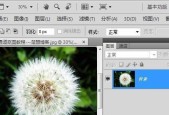 Photoshop抠图教程（以PS怎样抠图并将其粘贴到其他图像中）