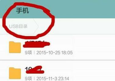 手机使用U盘的方法（掌握U盘在手机上的使用技巧）  第1张