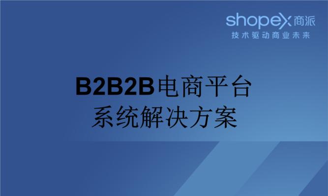 打造成功的B2C电子商务网站（以B2C电子商务网站建设方案为主题的关键步骤及成功策略）  第1张