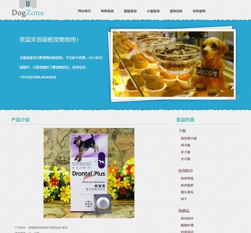 大学生DW网页设计作业实践经验分享（一位大学生的网页设计历程及技巧总结）  第1张