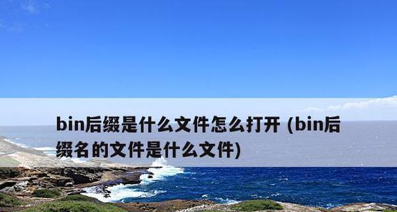 文件变成bin格式无法打开怎么办？如何恢复文件内容？  第2张